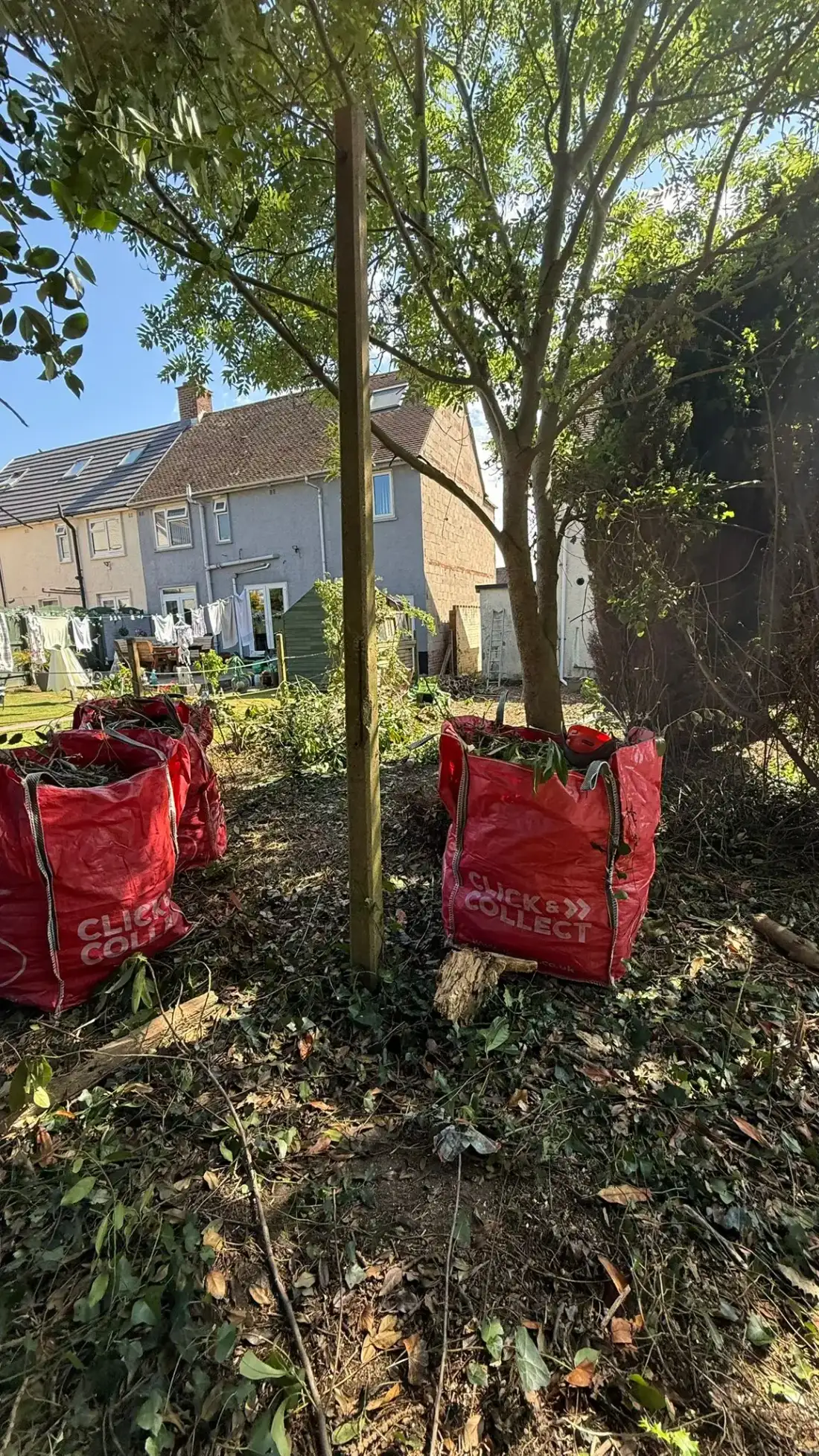 Bulk bags of cuttings filled during a garden clearance