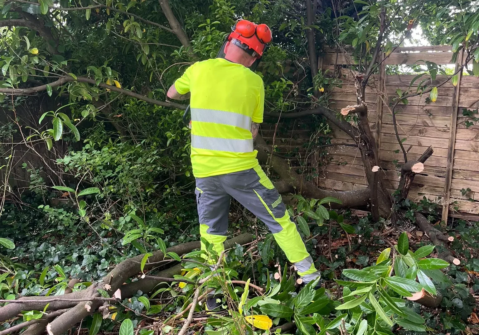 tjb-waste-south-wales-garden-services-11