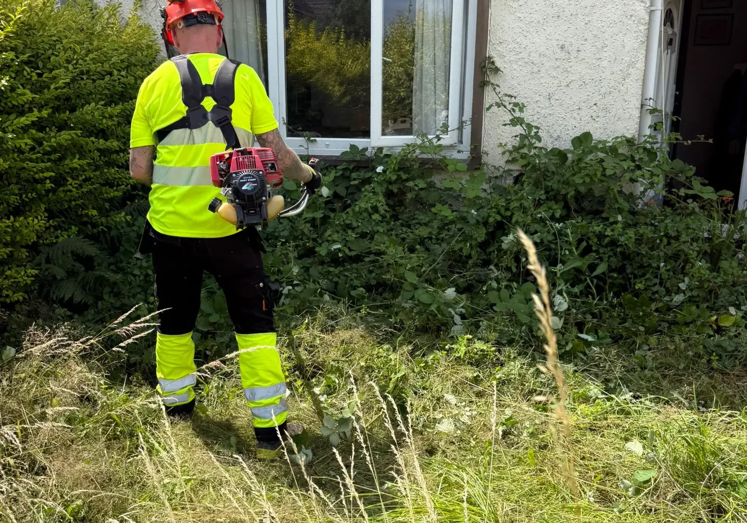 tjb-waste-south-wales-garden-services-28