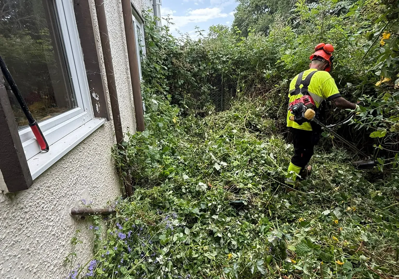 tjb-waste-south-wales-garden-services-3